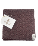 ecolã (2)