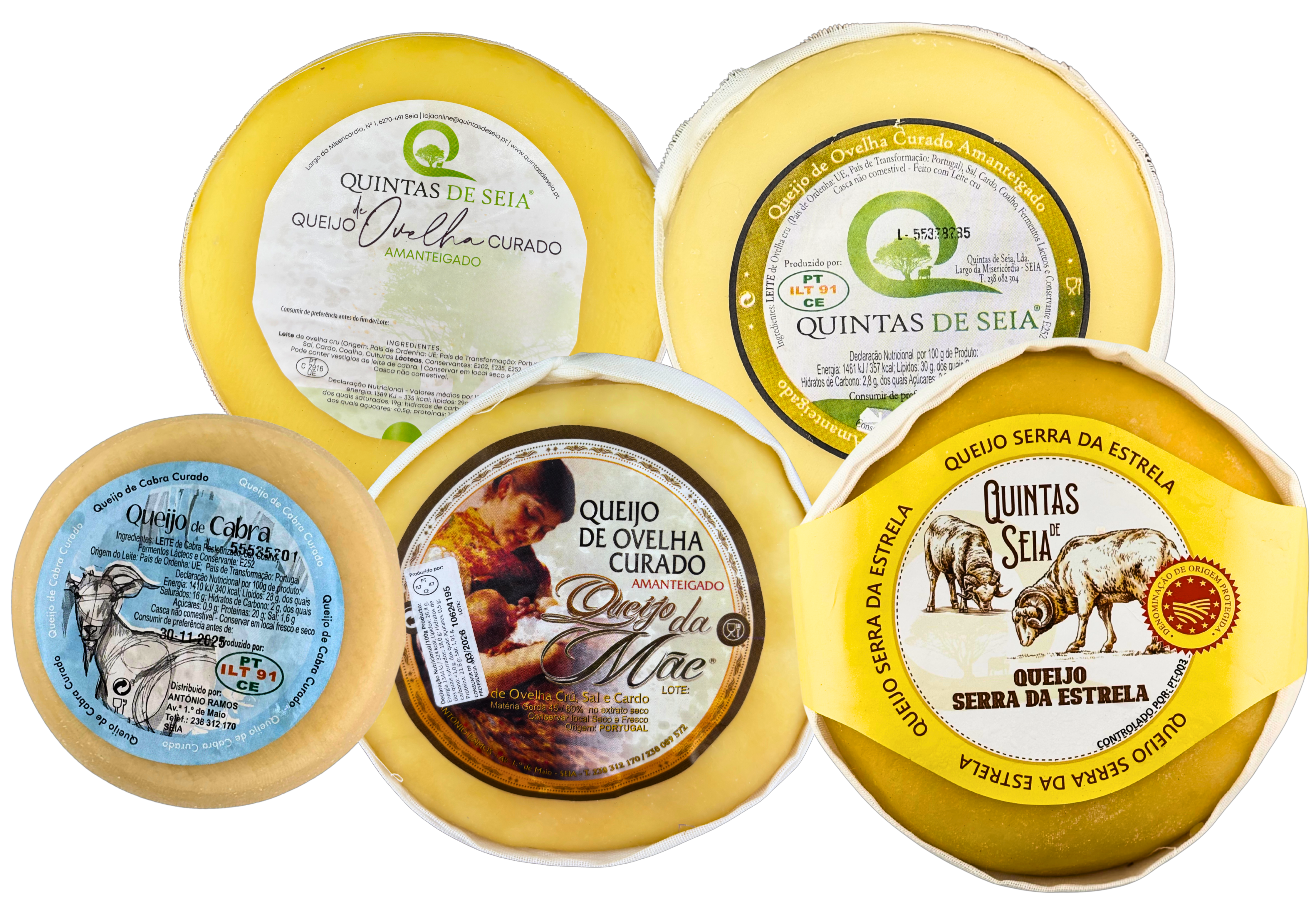 produtos imagens site (2)
